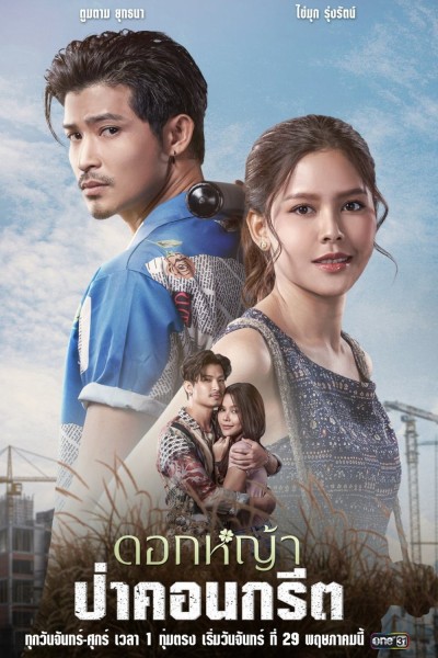 A Wildflower in the City 2023