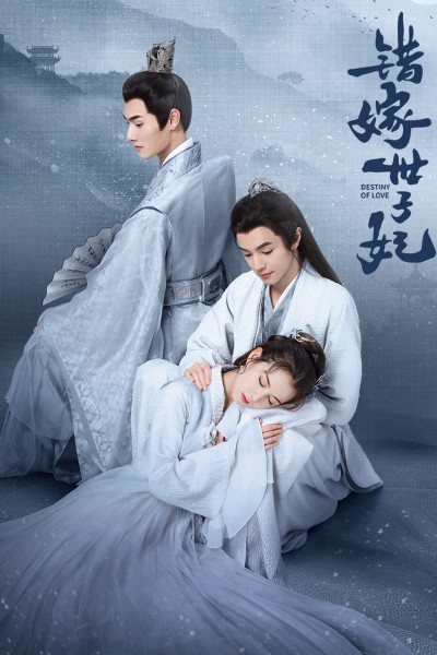 Gả Nhầm Thế Tử Phi 2025