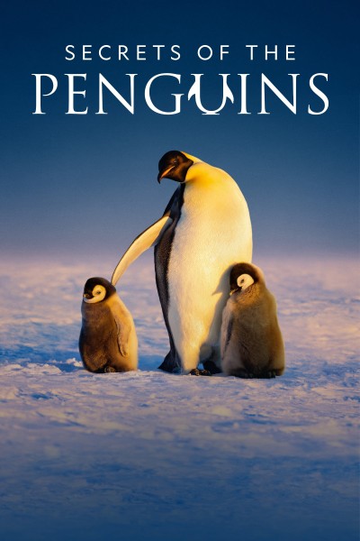 Secrets of the Penguins 2025
